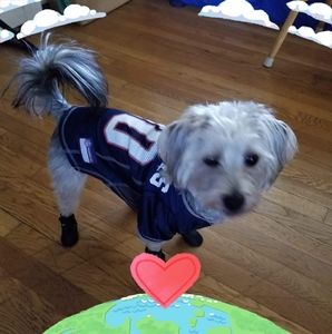 Meet your Posher, David